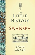 The Little History of Swansea | David Gwynn | 