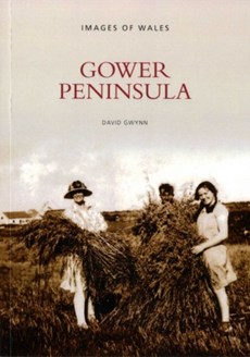 Gower Peninsula