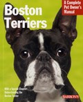 Boston Terriers | Susan Bulanda | 