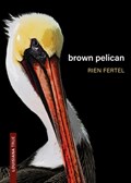Brown Pelican | Rien Fertel | 