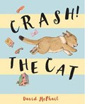 Crash! the Cat | David McPhail | 