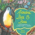 Anteaters, Bats & Boas | Roxie Munro | 