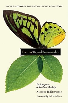 Thriving Beyond Sustainability