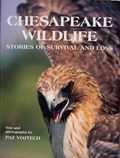 Chesapeake Wildlife | Pat Vojtech | 