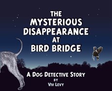 Mysterious Disappearance at Bird Bridge