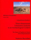 Three-dimensional Volumetric Analysis in an Archaeological Context | Federico Buccellati | 