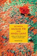 Between Muslim Pir and Hindu Saint | Mukesh (Alexander von Humboldt Fellow, South Asia Institute, Heidelberg University) Kumar | 