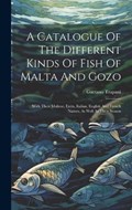A Catalogue Of The Different Kinds Of Fish Of Malta And Gozo | Gaetano Trapani | 