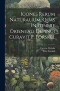 Icones Rerum Naturalium, Quas In Itinere Orientali Depingi Curavit P. Forskel | Peter Forsskål ; Carsten Niebuhr | 