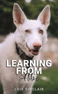 Learning from Albi | Lois Sinclair | 