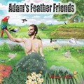 Adam's Feather Friends | Witty Wits | 