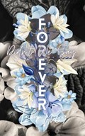 Didn't We Say Forever? | Laikyn Meng | 