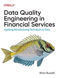 Data Quality Engineering in Financial Services | Brian Buzzelli | 
