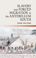 Slavery and Forced Migration in the Antebellum South | Damian Alan (universiteit Leiden) Pargas | 