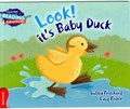 Cambridge Reading Adventures Look! It's Baby Duck Red Band | Gabby Pritchard | 