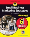 Small Business Marketing Strategies All-in-One For Dummies | Dummies | 