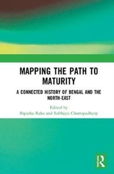 Mapping the Path to Maturity