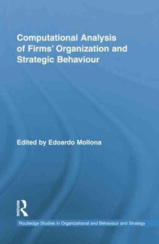 Computational Analysis of Firms' Organization and Strategic Behaviour