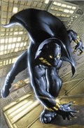 Black Panther By Christopher Priest Omnibus Vol. 1 | Christopher Priest | 