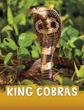 King Cobras | Jaclyn Jaycox | 