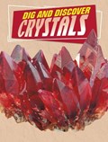 Dig and Discover Crystals | Anita Nahta Amin | 