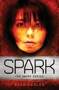 Spark | Evan Angler | 