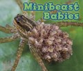 Minibeast Babies | Catherine Veitch | 