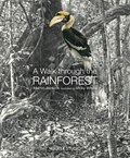 A Walk Through the Rainforest | Martin Jenkins | 