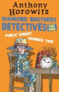 The Diamond Brothers in Public Enemy Number Two | Anthony Horowitz | 