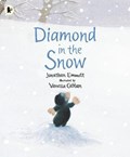 Diamond in the snow | vanessa cabban | 