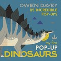 My First Pop-Up Dinosaurs | Owen Davey | 