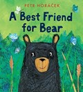 A Best Friend for Bear | Petr Horacek | 