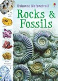 Rocks and Fossils | Struan Reid | 