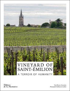 Vineyard of Saint-Emilion