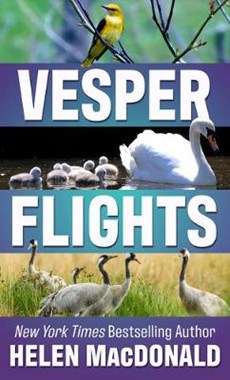 VESPER FLIGHTS -LP