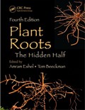 Plant Roots | Amram Eshel ; Tom Beeckman | 