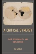 A Critical Synergy | Ali Meghji | 