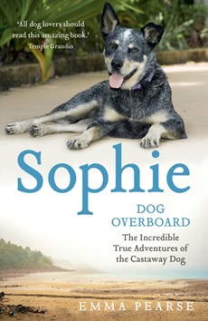 Sophie: dog overboard