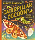 What's Inside a Caterpillar Cocoon? | Rachel Ignotofsky | 