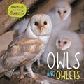 Animals and their Babies: Owls & Owlets | Annabelle Lynch | 
