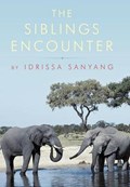 The Siblings Encounter | Idrissa Sanyang | 