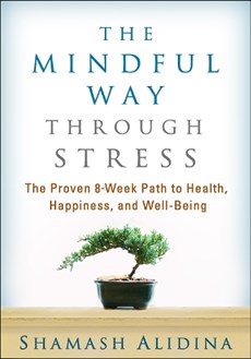 Alidina, S: Mindful Way through Stress