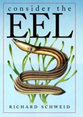 Consider the Eel | Richard Schweid | 