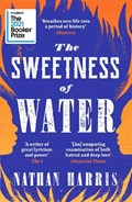 The Sweetness of Water | Nathan Harris | 
