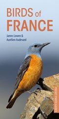 Birds of France | James Lowen ; Aurelien Audevard | 