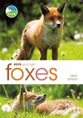RSPB Spotlight: Foxes | Mike Unwin | 