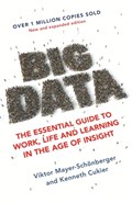 Big Data | Viktor Mayer-Schonberger ; Kenneth Cukier | 