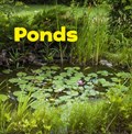 Ponds | Erika  L. (Digital Editor) Shores | 