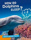 How Do Dolphins Sleep? | Nancy Furstinger | 