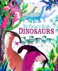 Big Picture Book Dinosaurs | Laura Cowan | 